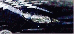 DOUBLE OPTIQUE MSD PEUGEOT 206  NOIR